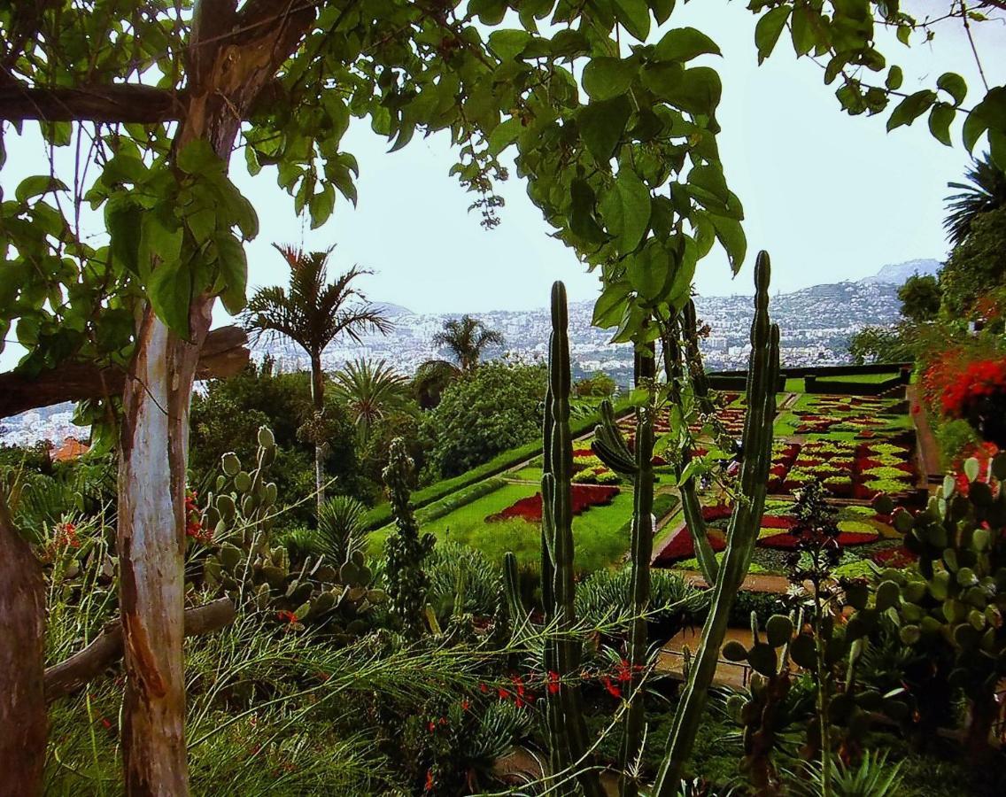 Apartment - The Historical Center Of Funchal In Alojamento Local Luaran gambar