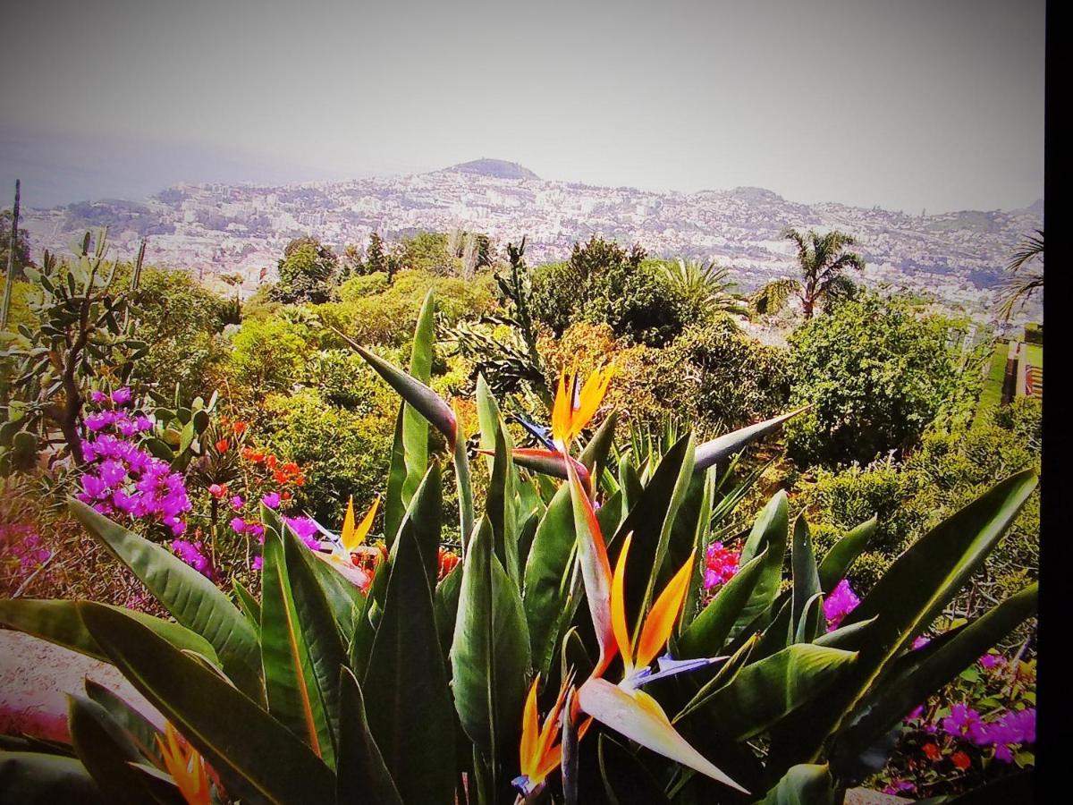 Apartment - The Historical Center Of Funchal In Alojamento Local Luaran gambar