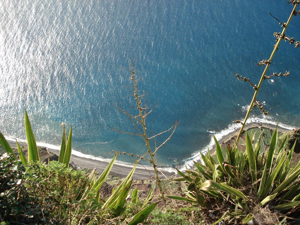 Apartment - The Historical Center Of Funchal In Alojamento Local Luaran gambar