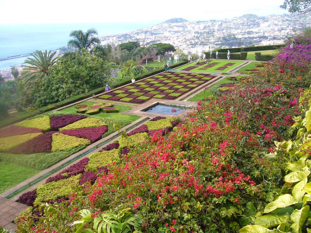 Apartment - The Historical Center Of Funchal In Alojamento Local Luaran gambar