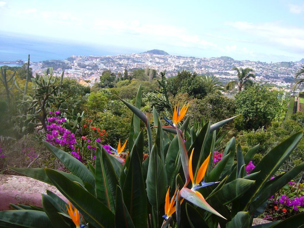 Apartment - The Historical Center Of Funchal In Alojamento Local Luaran gambar