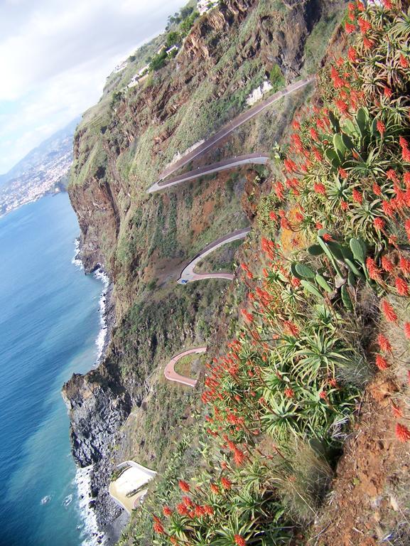 Apartment - The Historical Center Of Funchal In Alojamento Local Luaran gambar
