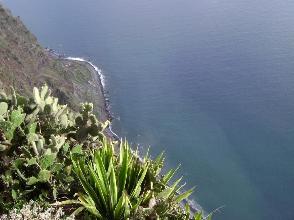 Apartment - The Historical Center Of Funchal In Alojamento Local Luaran gambar